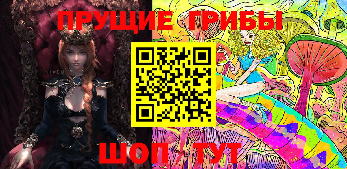 Галлюциногенные грибы GOLDEN TEACHER Нефтекумск